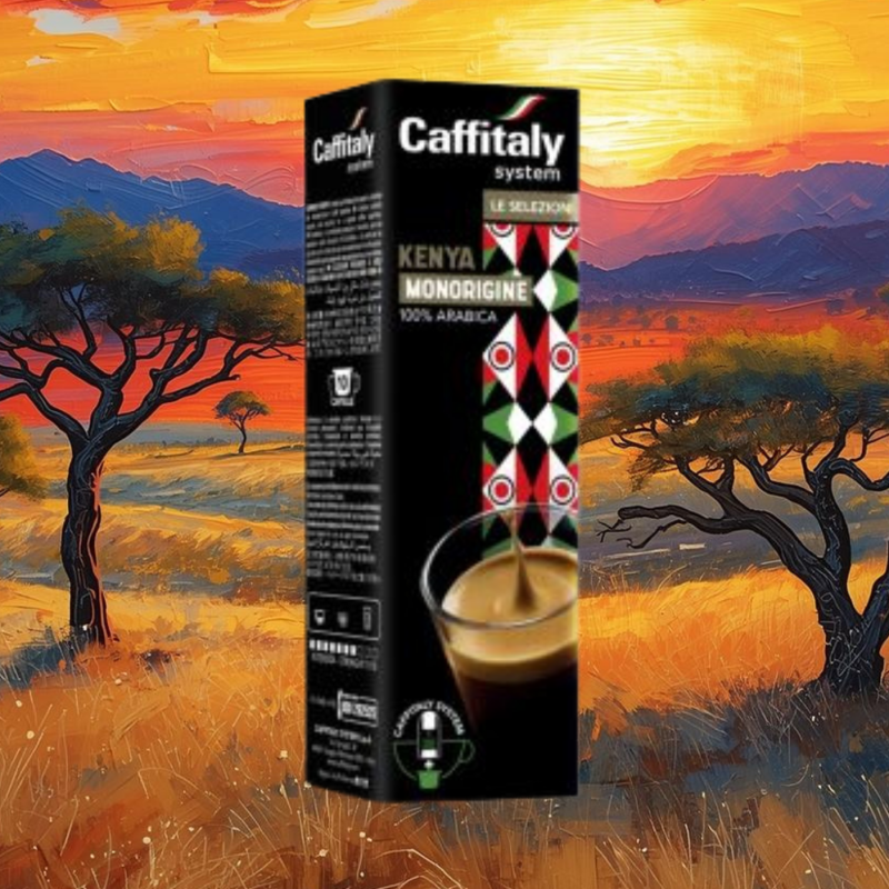 settemila caffe parma- illy-compatibili nespresso-alluminio-vendita online-intenso